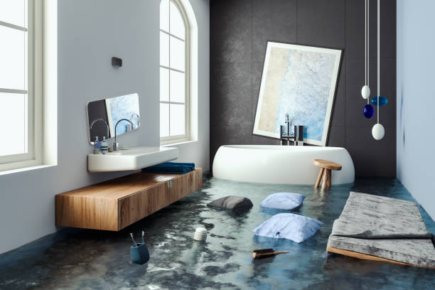 Professional Water damage restoration in Roma, TX
