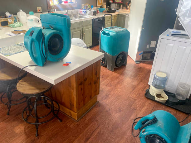 Best Water damage cleanup near me  in Roma, TX