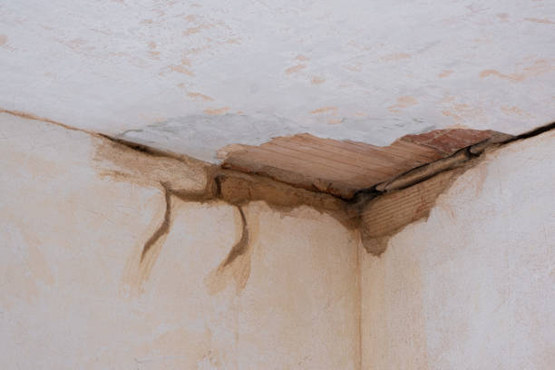 Best Residential water damage restoration  in Roma, TX