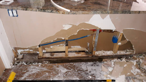 Best Mold removal after water damage  in Roma, TX