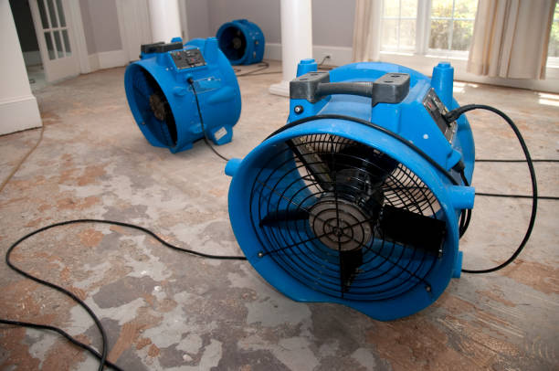 Best Water damage restoration near me  in Roma, TX