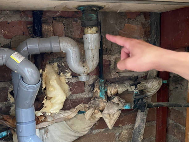 Best 24/7 water damage repair  in Roma, TX